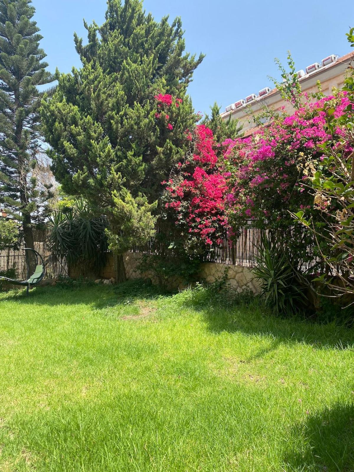 דירות מעלה אדומים דירת גן מרווחת במיקום מעולה עם נטפליקס חינמי מראה חיצוני תמונה